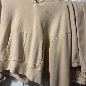 Champion Neutral Cropped Hoodie in Beige